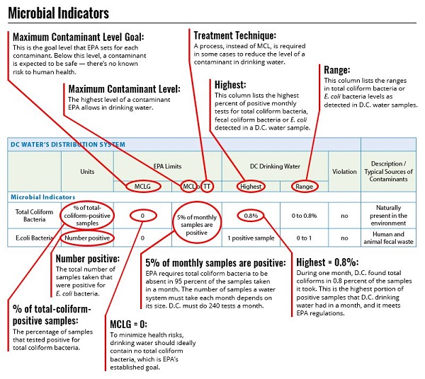 How to Read Your Water Quality Report?
