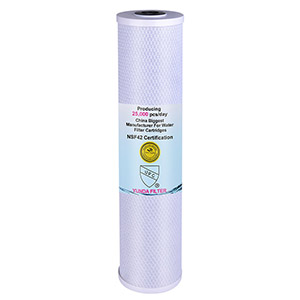 20 x 4.5 Big Blue Activated Carbon Water Filter(CTO20BB)
