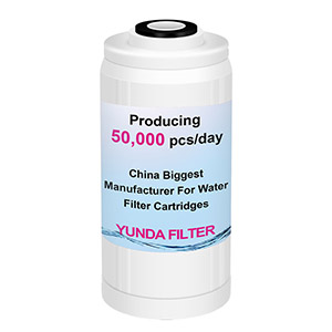 10 X 4.5 Big Blue Granular Activated Carbon GAC Water Filter (GAC10BBD)