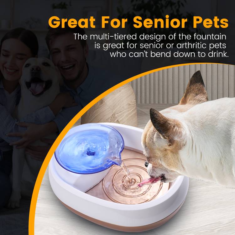 What is the Best Pet Water Fountain on the Market?