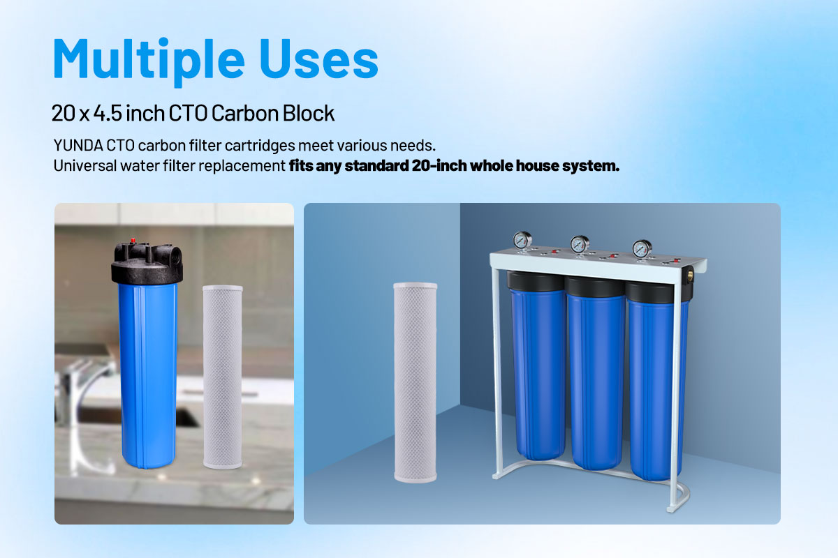 Big Blue 20 Carbon Water Filter