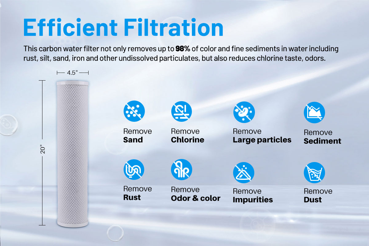 Big Blue 20 Carbon Water Filter