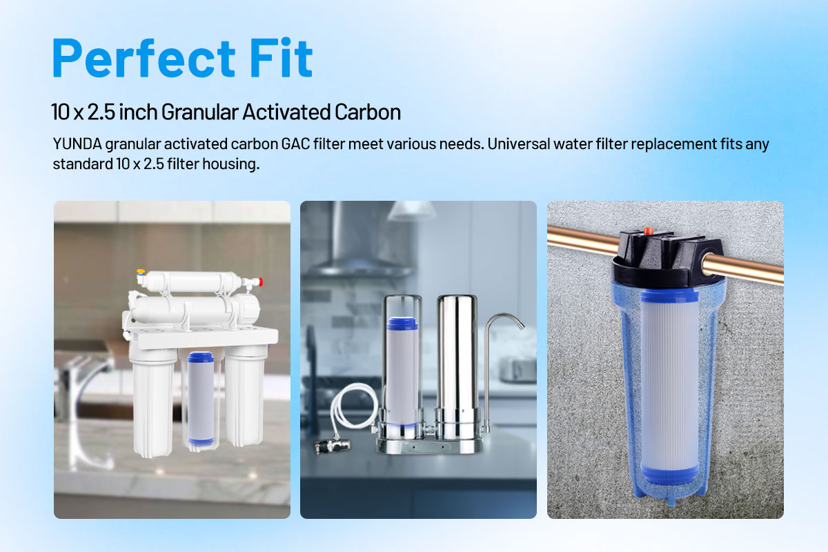 GAC 10 Inch Filter Cartridge