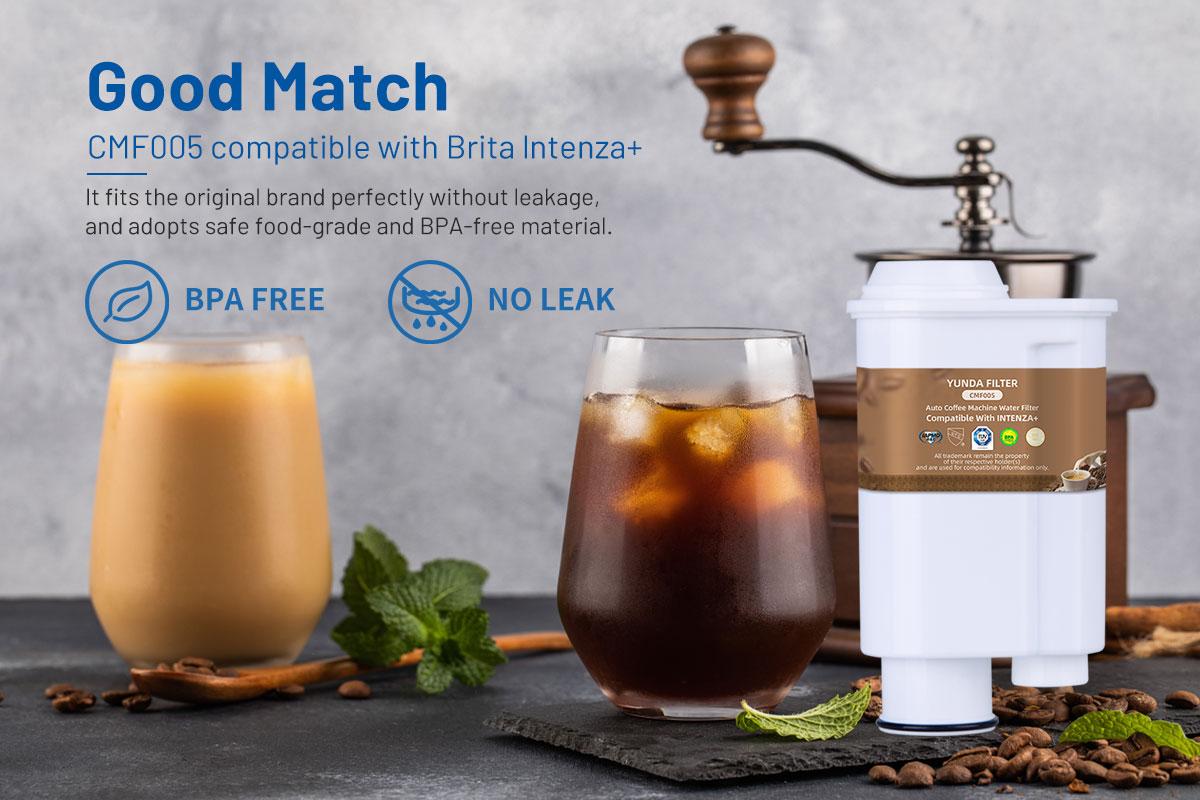 Brita Intenza+ Filter