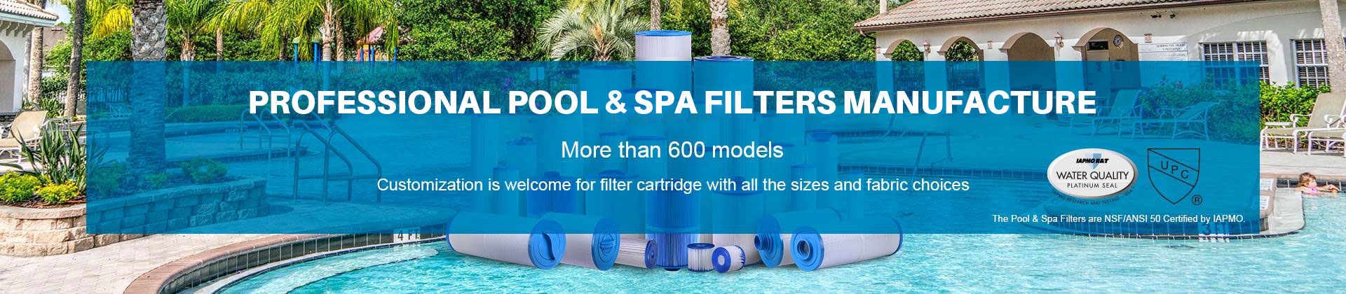 Pool Filter